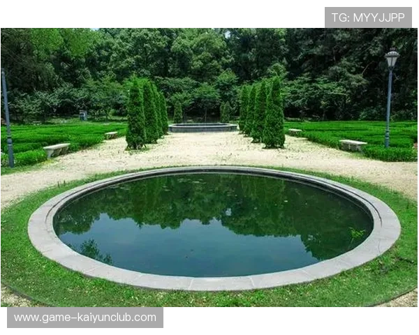 武汉三镇的一次远传精准找到前场落点 武汉三镇的一次远传精准找到前场落点